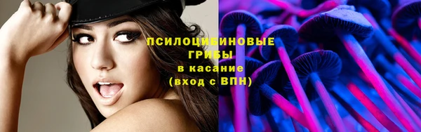 метамфетамин Богородицк