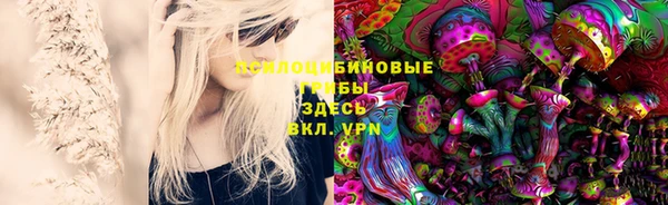 PSILOCYBIN Богородск