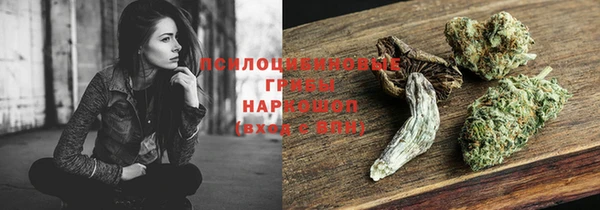 скорость Богданович