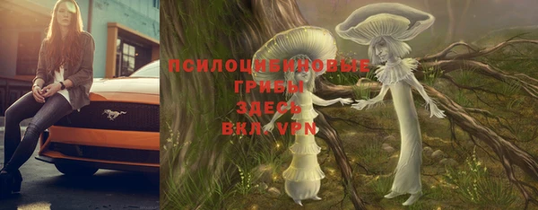 скорость Богданович